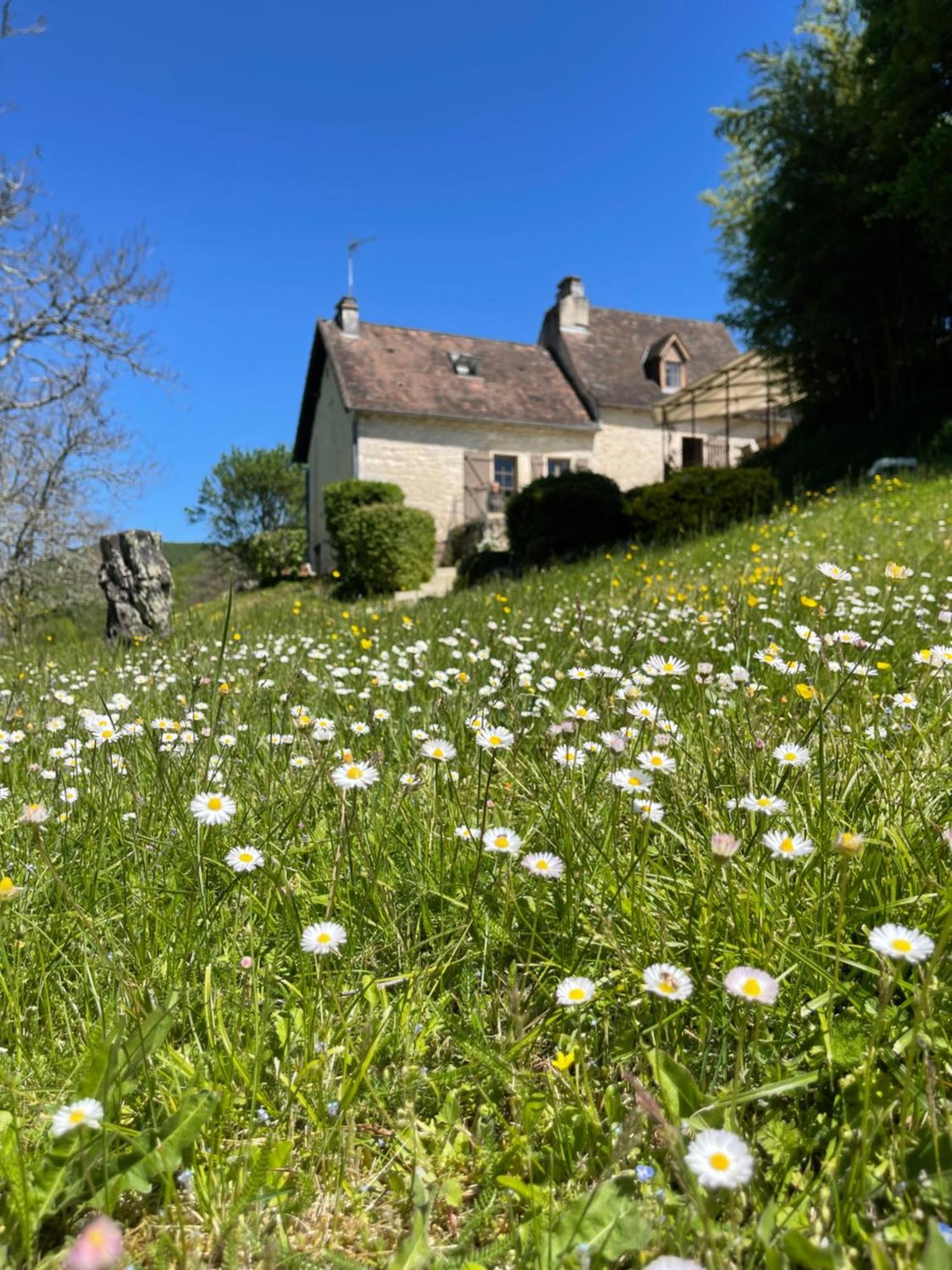 Domaine Du Bonheur En Pierre Avec Piscine, Proche Sarlat Villa Carlux Dış mekan fotoğraf